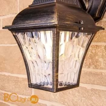 Уличный настенный светильник Elektrostandard Apus GL 1009D a043112 - Фото 0