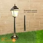 Садово-парковый фонарь Elektrostandard Apus GL 1009F a043117 - Фото 2