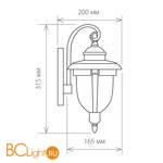 Уличный настенный светильник Elektrostandard Atlas D GLYF-2010D черное золото - Схема