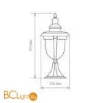 Садово-парковый фонарь Elektrostandard Atlas GLYF-2010S a028007 - Фото 1