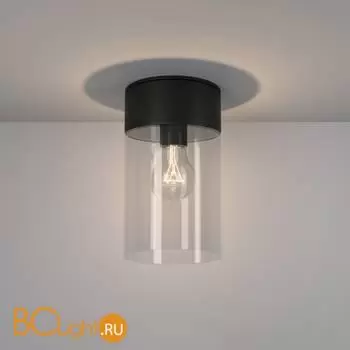 Уличный потолочный светильник Elektrostandard Atrani new 35085/F черный a062521