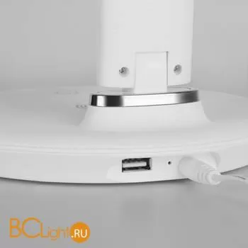 Настольная лампа Elektrostandard Brava TL90530 a047272 - Фото 1