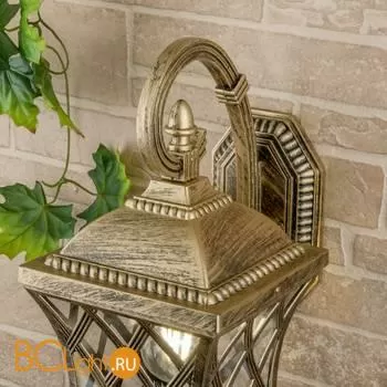 Уличный настенный светильник Elektrostandard Cassiopeya Cassiopeya D a025295 - Фото 1