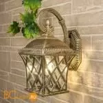 Уличный настенный светильник Elektrostandard Cassiopeya Cassiopeya D a025295