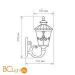 Уличный настенный светильник Elektrostandard Diadema GLYF-8046U a028003 - Фото 0