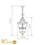 Уличный подвесной светильник Elektrostandard Diadema GLYF-8046H a028004 - Фото 0