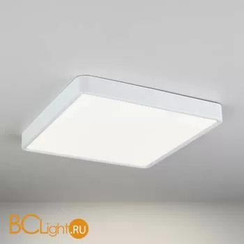 Потолочный светильник Elektrostandard DLR020-DLS020 DLS034 24W 4200K a043018