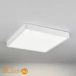 Потолочный светильник Elektrostandard DLR020-DLS020 DLS034 24W 4200K a043018