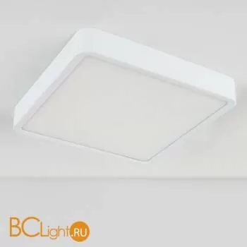 Потолочный светильник Elektrostandard DLR020-DLS020 DLS034 18W 4200K a043017 - Фото 0