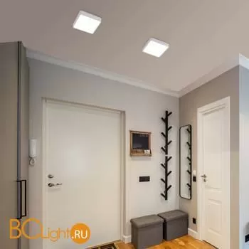 Потолочный светильник Elektrostandard DLR020-DLS020 DLS034 18W 4200K a043017 - Фото 1