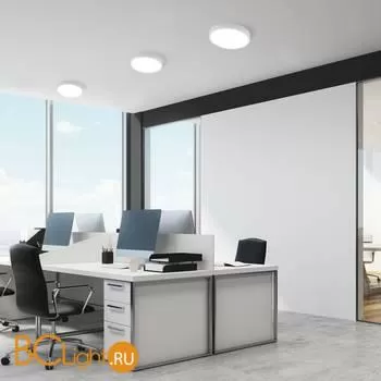 Потолочный светильник Elektrostandard DLR020-DLS020 DLR034 24W 4200K a043016 - Фото 0