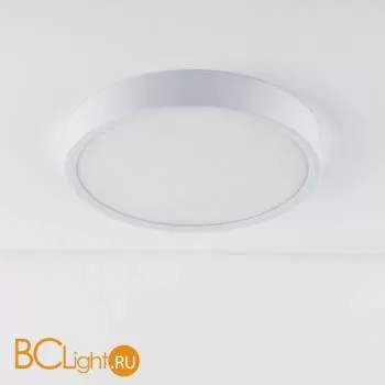 Потолочный светильник Elektrostandard DLR020-DLS020 DLR034 18W 4200K a043015 - Фото 0