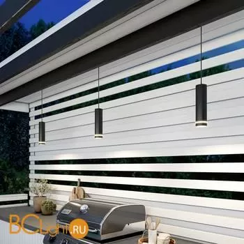 Уличный подвесной светильник Elektrostandard DLR023 35084/H черный a061364 - Фото 2