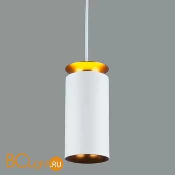 Подвесной светильник Elektrostandard DLS021 a045501