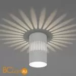 Спот Elektrostandard DLS026 a047685