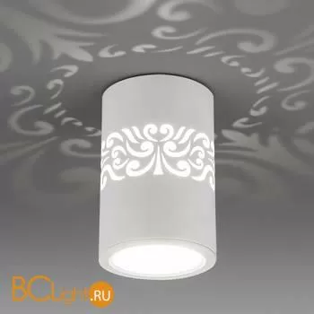 Спот Elektrostandard DLS025 a047684