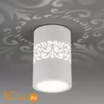 Спот Elektrostandard DLS025 a047684