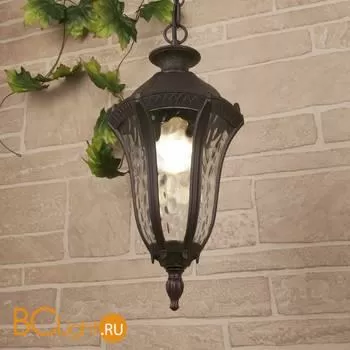 Уличный подвесной светильник Elektrostandard Draco GL 1010H a043120 - Фото 0