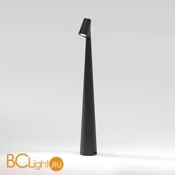 Настольный светильник Elektrostandard Elite TL70250 a068070