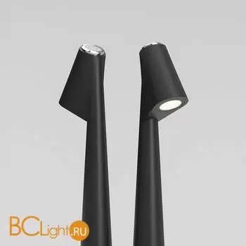 Настольный светильник Elektrostandard Elite TL70250 a068070 - Фото 0