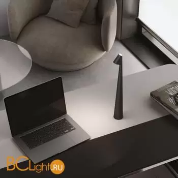 Настольный светильник Elektrostandard Elite TL70250 a068070 - Фото 3