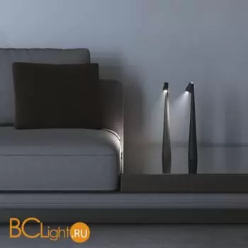 Настольный светильник Elektrostandard Elite TL70250 a068070 - Фото 4