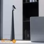 Настольный светильник Elektrostandard Elite TL70250 a068070 - Фото 1