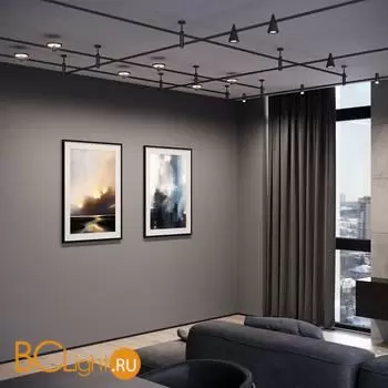 Трековый светильник Elektrostandard Esthetic Magnetic new 85124/01 a065425 - Фото 2