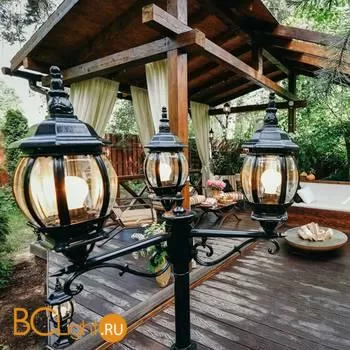 Садово-парковый фонарь Elektrostandard Farola NLG99HL005 черный a025754 - Фото 0