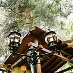 Садово-парковый фонарь Elektrostandard Farola NLG99HL005 черный a025754 - Фото 1