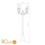 Садово-парковый фонарь Elektrostandard Farola NLG99HL004 черный a025751 - Фото 2