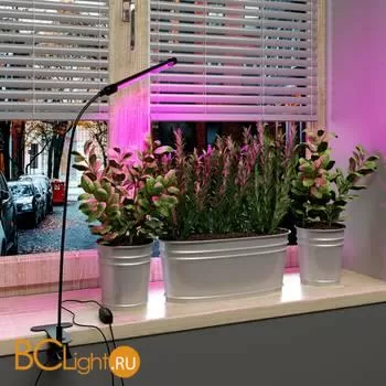 Светодиодный светильник для растений на прищепке FT-004 чёрный a052889 - Фото 8