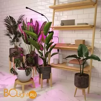 Светодиодный светильник для растений на прищепке FT-004 чёрный a052889 - Фото 9