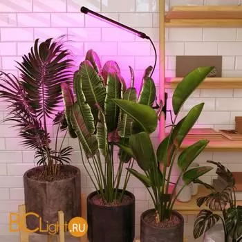 Светодиодный светильник для растений на прищепке FT-004 чёрный a052889