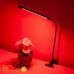 Светодиодный светильник для растений на прищепке FT-004 чёрный a052889 - Фото 2