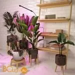 Светодиодный светильник для растений на прищепке FT-004 чёрный a052889 - Фото 9