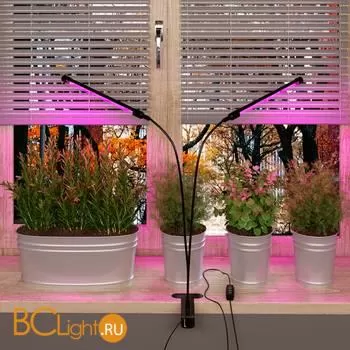 Светодиодный светильник для растений на прищепке FT-005 чёрный a052890 - Фото 6