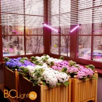 Светодиодный светильник для растений на прищепке FT-005 чёрный a052890 - Фото 7