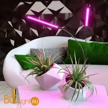 Светодиодный светильник для растений на прищепке FT-005 чёрный a052890