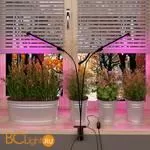 Светодиодный светильник для растений на прищепке FT-005 чёрный a052890 - Фото 6