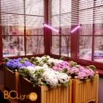 Светодиодный светильник для растений на прищепке FT-005 чёрный a052890 - Фото 7