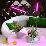 Светодиодный светильник для растений на прищепке FT-005 чёрный a052890