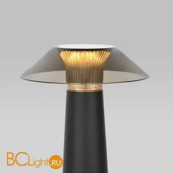 Настольная лампа Elektrostandard Future TL70200 a062379 - Фото 1