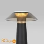 Настольная лампа Elektrostandard Future TL70200 a062379 - Фото 1