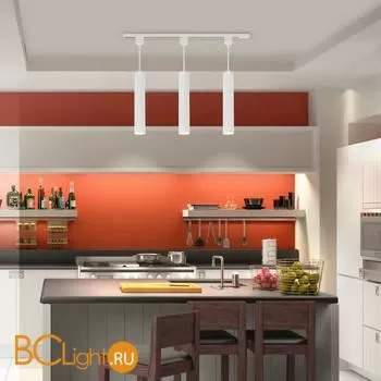 Трековый светильник Elektrostandard Glory LTB40 a044002 - Фото 1