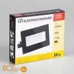 Прожектор Elektrostandard Grand 013 FL LED 30W 6500K IP65 a041253 - Фото 1