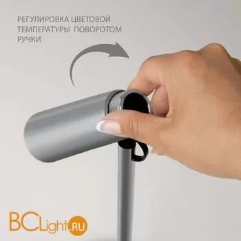 Настольная лампа Elektrostandard Joel TL70190 a048901 - Фото 2