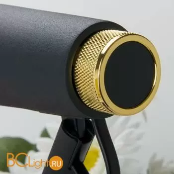 Настольная лампа Elektrostandard Joel TL70190 a048900 - Фото 2