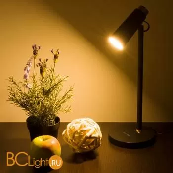 Настольная лампа Elektrostandard Joel TL70190 a048900 - Фото 1