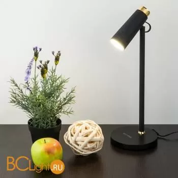 Настольная лампа Elektrostandard Joel TL70190 a048900 - Фото 0